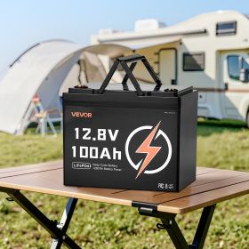 12V 100Ah Deep Cycle LiFePO4 Battery BMS Lithium Iron Phosphate Battery For RV